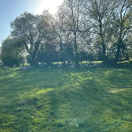 Cosy Boutique Village Retreat Privatunterkunft